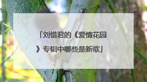 刘惜君的《爱情花园》专辑中哪些是新歌