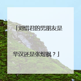 刘惜君的男朋友是华汉还是张煜枫？