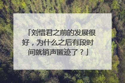刘惜君之前的发展很好,为什么之后有段时间就销声匿迹了?