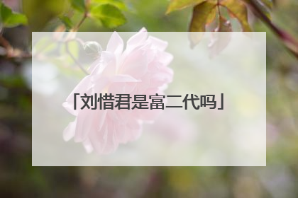 刘惜君是富二代吗