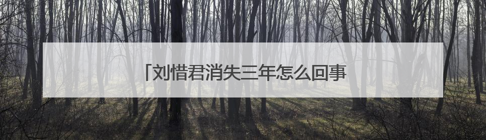 刘惜君消失三年怎么回事？刘惜君哪一年的快女