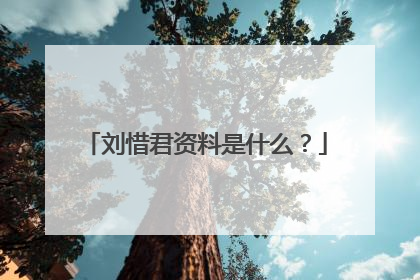 刘惜君资料是什么？