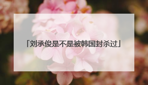 刘承俊是不是被韩国封杀过