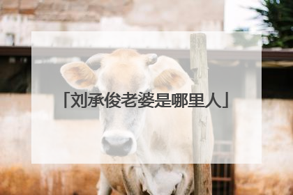 刘承俊老婆是哪里人