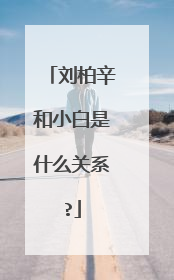 刘柏辛和小白是什么关系?