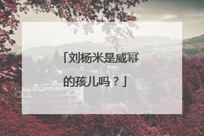 刘杨米是威幂的孩儿吗？