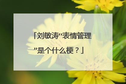 刘敏涛“表情管理”是个什么梗?