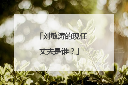 刘敏涛的现任丈夫是谁？