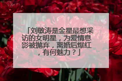 刘敏涛是金星最想采访的女明星,为爱情息影被抛弃,离婚后爆红,有何魅力?