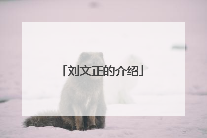 刘文正的介绍