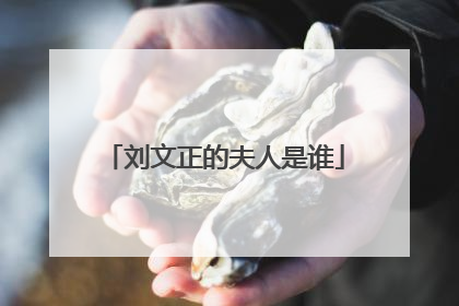 刘文正的夫人是谁