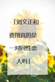刘文正和费翔真的是一对同性恋人吗