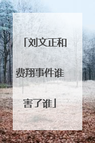 刘文正和费翔事件谁害了谁