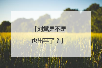 刘斌是不是也出事了？