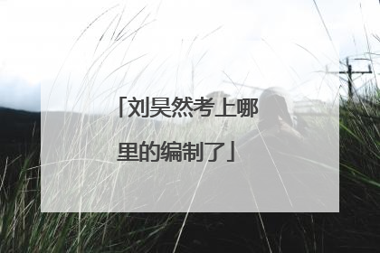 刘昊然考上哪里的编制了