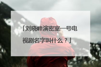 刘晓峰演密室一号电视剧名字叫什么?