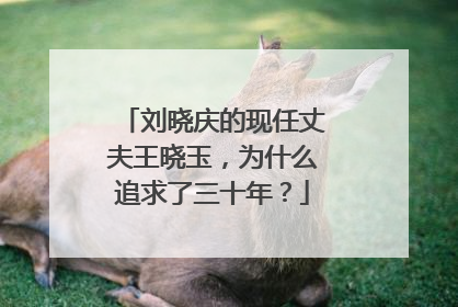 刘晓庆的现任丈夫王晓玉，为什么追求了三十年？