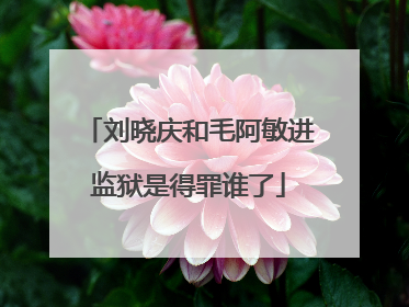 刘晓庆和毛阿敏进监狱是得罪谁了