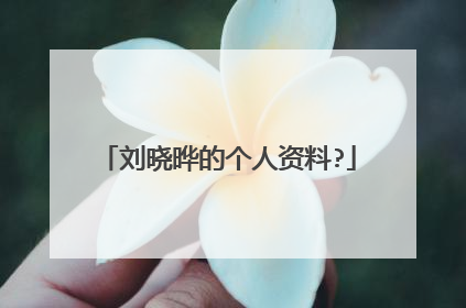 刘晓晔的个人资料?