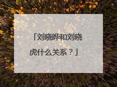 刘晓晔和刘晓虎什么关系?