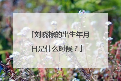 刘晓棕的出生年月日是什么时候?