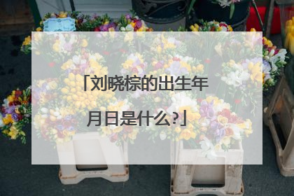 刘晓棕的出生年月日是什么?