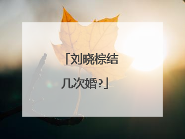 刘晓棕结几次婚?
