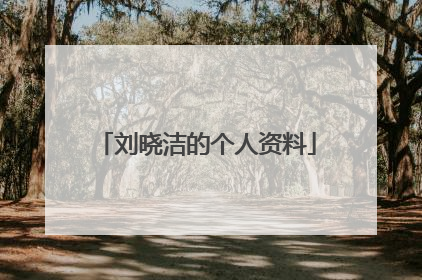 刘晓洁的个人资料