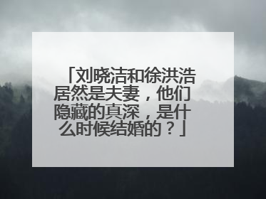 刘晓洁和徐洪浩居然是夫妻，他们隐藏的真深，是什么时候结婚的？