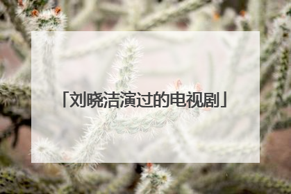 刘晓洁演过的电视剧