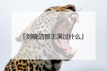 刘晓洁都主演过什么