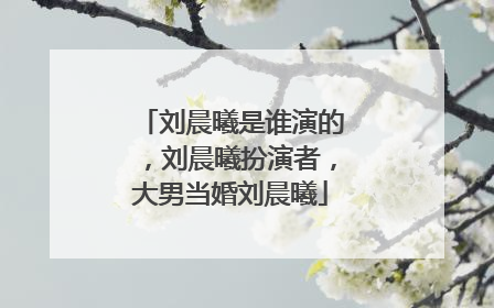 刘晨曦是谁演的，刘晨曦扮演者，大男当婚刘晨曦
