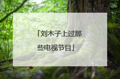 刘木子上过那些电视节目