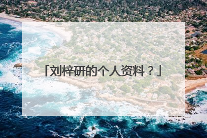 刘梓研的个人资料?