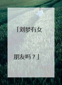 刘梦有女朋友吗?