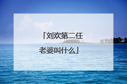 刘欢第二任老婆叫什么