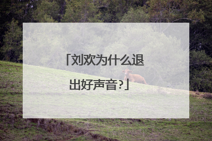 刘欢为什么退出好声音?