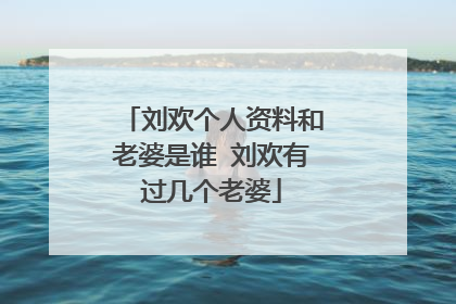 刘欢个人资料和老婆是谁 刘欢有过几个老婆