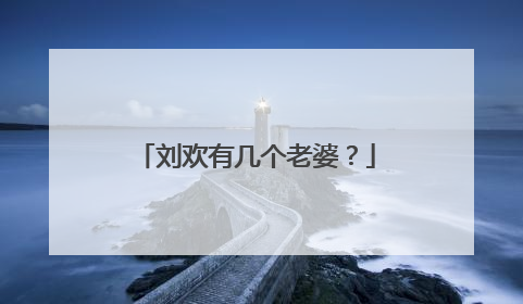 刘欢有几个老婆？