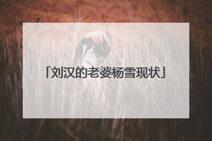 刘汉的老婆杨雪现状