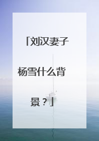 刘汉妻子杨雪什么背景？