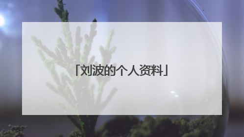 刘波的个人资料