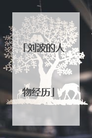 刘波的人物经历