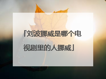 刘波挪威是哪个电视剧里的人挪威