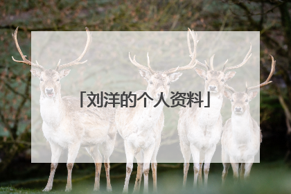 刘洋的个人资料