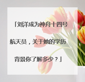 刘洋成为神舟十四号航天员,关于她的学历背景你了解多少?