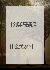 刘洋高颖是什么关系?