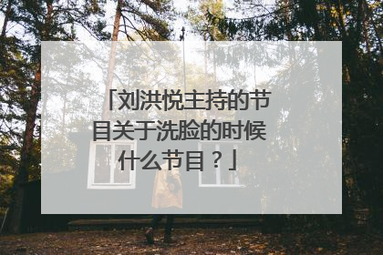 刘洪悦主持的节目关于洗脸的时候什么节目？