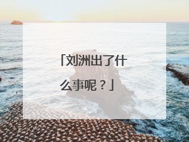 刘洲出了什么事呢?