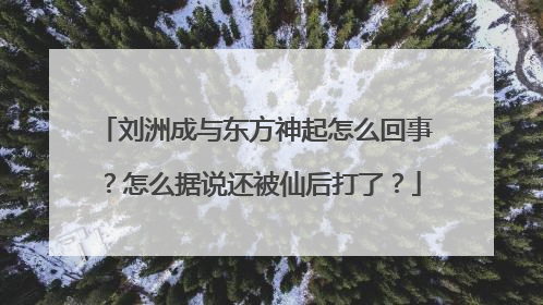 刘洲成与东方神起怎么回事？怎么据说还被仙后打了？